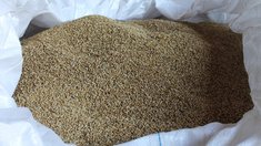 В одном из хозяйств Новгородской области проведут яровой сев отечественного ячменя