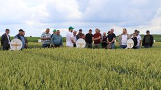 Аграрии Липецкой области знакомятся с новыми сортами и гибридами сельхозкультур 