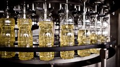 Россия нарастила выпуск растительных масел на 6%