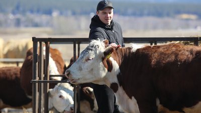 Работникам агропромышленного комплекса Красноярского края предлагают миллион рублей для обустройства на селе
