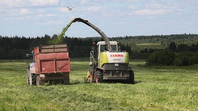 В сельхозорганизациях Вологодской области завершена заготовка кормов
