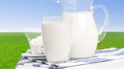 В КЧР поголовье коров превысило 79 тыс. голов — на 2,2% больше, чем год назад