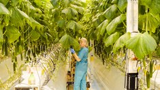 Заработная плата в сельском хозяйстве Чувашии растет опережающими темпами