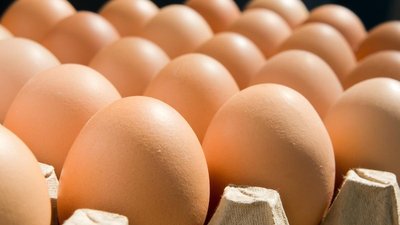 Предложение куриных яиц в России удовлетворяет спрос — Минсельхоз