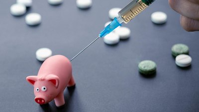 В России изобрели вакцину от африканской чумы свиней