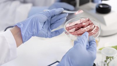 В Сингапуре откроют крупнейшую в Азии фабрику культивированного мяса