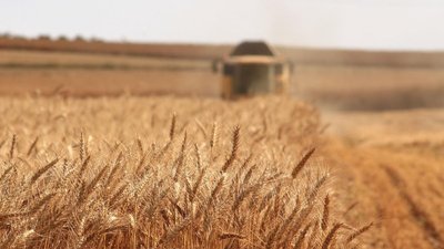 Аграрии Чеченской Республики приступили к уборочной кампании