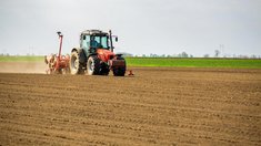 В Самарском регионе в этом году на 36,8% выросла площадь под кукурузу, на 23,8% — под гречиху