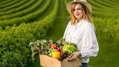 В России создают агроагрегаторы фермерских продуктов