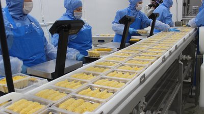 Развитие донских предприятий по производству мяса индейки и утки позволило создать новые рабочие места в сельской местности