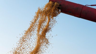Путин поручил разработать соглашение с Китаем о новом зерновом коридоре