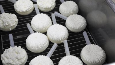 В Карабудахкентском районе Дагестана запущен цех по переработке молока мощностью 5 тонн в смену