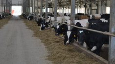 Ветераны СВО из Нижегородской области получат гранты на развитие агробизнеса