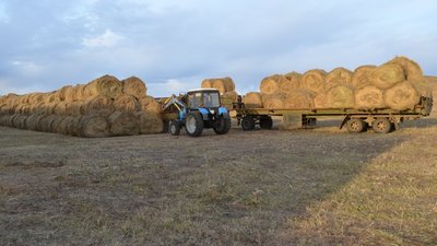 Хозяйства Забайкалья заготовили свыше 1 млн тонн сена на зимовку скота