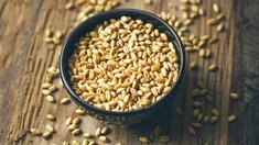 Ярославские сельхозорганизации реализовали 28 тыс. т зерновых и зернобобовых культур за 2025 год