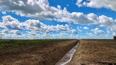 Площадь сельхозугодий растёт в Хабаровском крае
