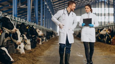 В 2021 году в Томской области свыше 17 тыс. коров прошли процедуру осеменения