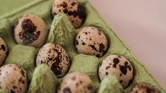Производители перепелиной продукции в Московской области выпустили 1,4 тыс. тонн мяса за 2025 год
