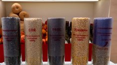 Доля семян отечественной селекции в России достигла 69,3% и приблизилась к целевым 75%