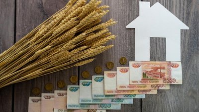 В Башкирии получателям господдержки АПК и сельских территорий перечислено 1,8 млрд руб.