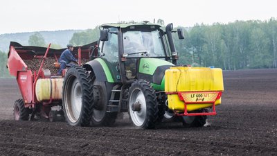 Посевная площадь в Кузбассе увеличена на 31 тыс. га