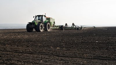 В Воронежской области засеяли озимыми зерновым культурами более 500 тыс. га
