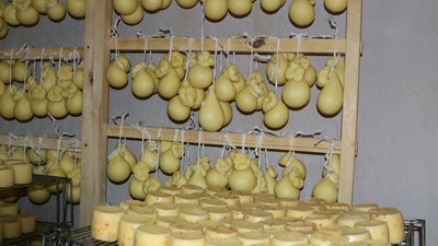 Липчане поделились с гостями из Якутии опытом сбыта молочной продукции и наработками в сфере агротуризма