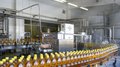 В Нижегородской области увеличился объем экспорта продукции агропромышленных предприятий