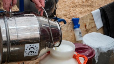 В сельхозорганизациях Республики Алтай на 16% увеличилось производство молока