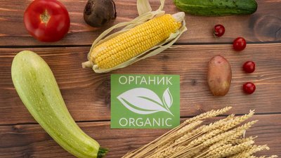 Соглашение о признании органической продукции в ЕАЭС планируется подписать в 2025 году