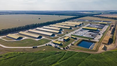 С 2023 года вступили в силу новые правила предоставления господдержки АПК