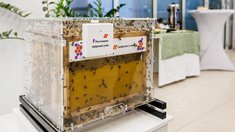 В Башкортостане представили «Цифровой улей 2.0»