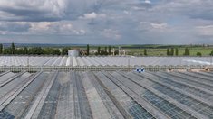 В Саратовской области провели забеливание теплиц с помощью БПЛА