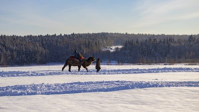 Московская область продолжает развитие агротуризма
