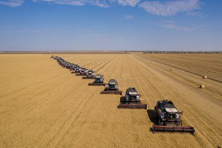 Кредитование сезонных полевых работ увеличилось на 1,9%