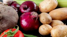 Обзор розничных цен на продовольственные товары в Республике Калмыкии