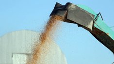 Аграриям Забайкалья направят 57 млн рублей на производство продукции растениеводства