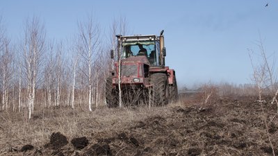 Аграрии Кузбасса получили 50 млн рублей за освоение неиспользуемых земель