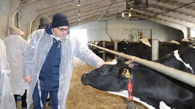 Первые доильные роботы появились в Новосибирской области