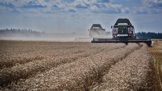 Минсельхоз ДНР усилит поддержку аграриев и продолжит развитие сельских территорий