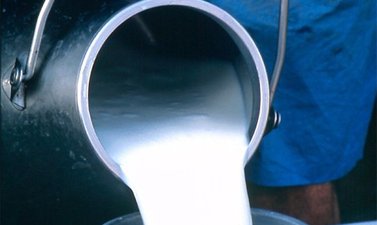 С начала года подмосковным аграриям предоставлено свыше 750 млн рублей субсидий