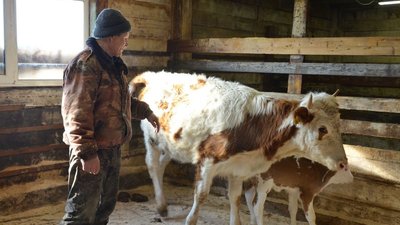 В Красноярском крае гранты до 8 млн рублей получат 14 начинающих фермеров