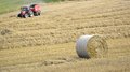 В Республике Башкортостан скошено 65% кормовых культур