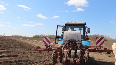 Десять районов Томской области ведут посевную кампанию