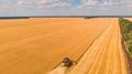 В Башкортостане собрали 3,3 млн тонн зерна с 96,4% уборочной площади