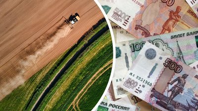 В 2023 году господдержка АПК и сел Тверской области составит около 1,3 млрд руб.