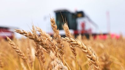 Липецкая область в 2022 году получила больше субсидий на льготное кредитование