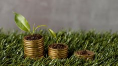 На развитие АПК Южного федерального округа в 2026 году выделено 18,6 млрд руб. из федбюджета