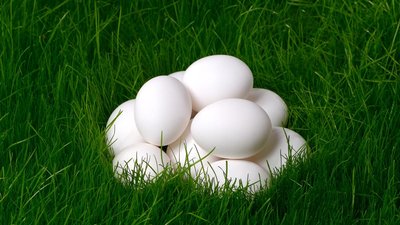 В I полугодии 2022 года сельхозорганизации Алтайского края увеличили реализацию яиц на 16,4%