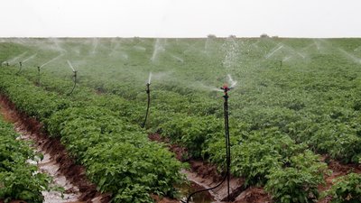 Фермеры Херсонщины разрабатывают новые проекты локального орошения